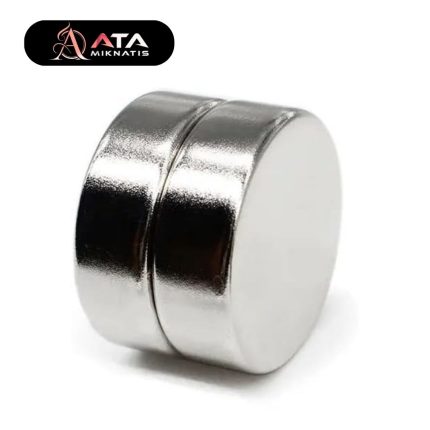 30×10mm Yuvarlak Neodyum Mıknatıs